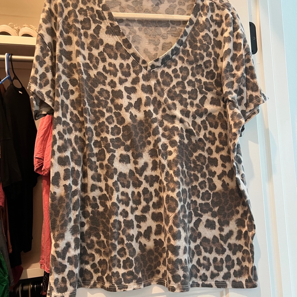 Leopard Print V-Neck Women's Top